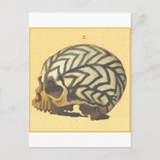 Macabre: Skull - Neue Guinea Postkarte (Vorderseite)