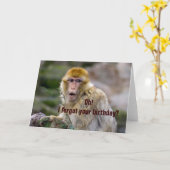 Macaca sylvanus karte (Gelbe Blume)