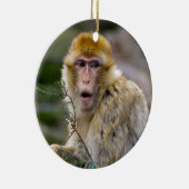 Macaca sylvanus keramikornament (Rechts)