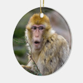 Macaca sylvanus keramikornament (Links)