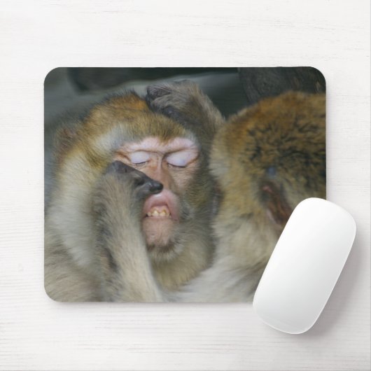 Macaca sylvanus mousepad (Mit Mouse)