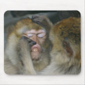 Macaca sylvanus mousepad (Vorne)