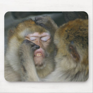 Macaca sylvanus mousepad