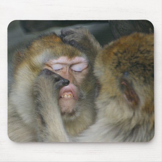 Macaca sylvanus mousepad (Vorne)