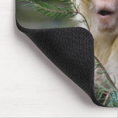 Macaca sylvanus mousepad (Ecke)