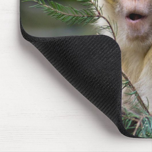 Macaca sylvanus mousepad (Ecke)