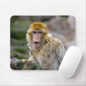 Macaca sylvanus mousepad (Mit Mouse)