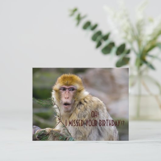 Macaca sylvanus postkarte (Stehend Vorderseite)