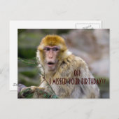 Macaca sylvanus postkarte (Vorne/Hinten)