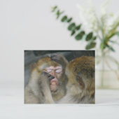 Macaca sylvanus postkarte (Stehend Vorderseite)