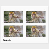 Macaca sylvanus rechteckiger aufkleber (Blatt)