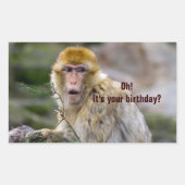 Macaca sylvanus rechteckiger aufkleber (Vorderseite)