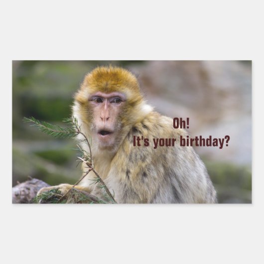 Macaca sylvanus rechteckiger aufkleber (Vorderseite)