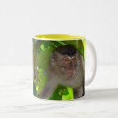 Macaque-Affe-Tasse Zweifarbige Tasse (VorderseiteRechts)