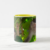 Macaque-Affe-Tasse Zweifarbige Tasse (Mittel)