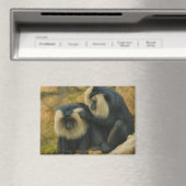 Macaque Bond - Grooming Ritual Magnet (In Situ (Geschirrspüler))