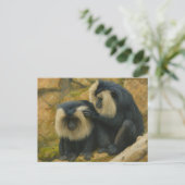 Macaque Bond - Grooming Ritual Postkarte (Stehend Vorderseite)