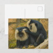 Macaque Bond - Grooming Ritual Postkarte (Vorne/Hinten)
