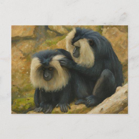 Macaque Bond - Grooming Ritual Postkarte (Vorderseite)