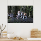 Macaque-Familie Poster (Küche)