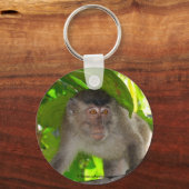 Macaque Monkey im Regenwald Schlüsselanhänger (Vorderseite)