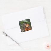 Macaque Monkey with Orange Orangutan Quadratischer Aufkleber (Umschlag)
