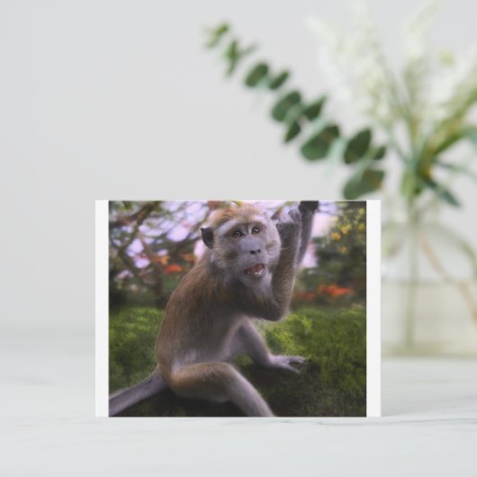 Macaque Postkarte (Stehend Vorderseite)