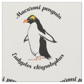 Macaroni Penguin Stoff (Nahaufnahme)