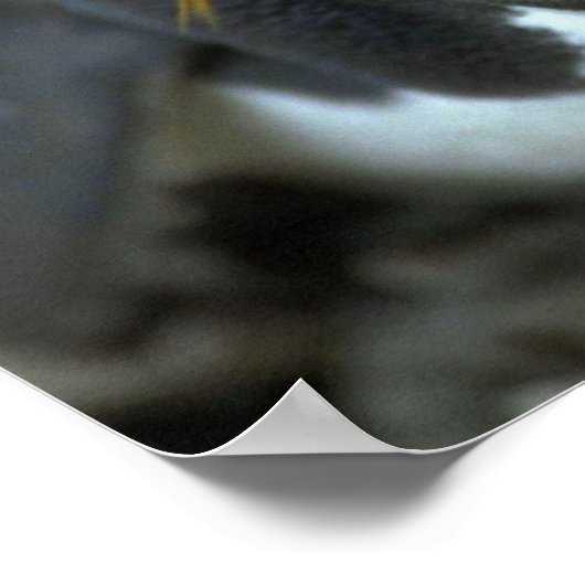 Macaroni Pinguin sitzend auf Eiern Poster (Ecke)