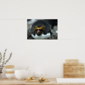Macaroni Pinguin sitzend auf Eiern Poster (Küche)