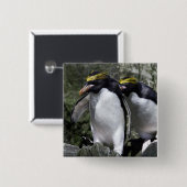 Macaroni Pinguine, Südgeorgien Button (Vorne & Hinten)