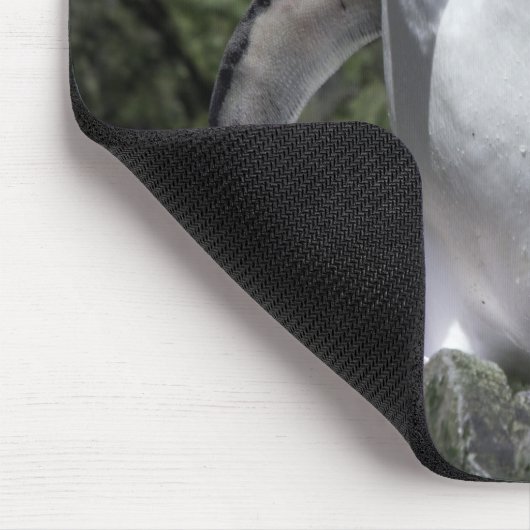 Macaroni Pinguine, Südgeorgien Mousepad (Ecke)