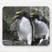 Macaroni Pinguine, Südgeorgien Mousepad (Vorne)