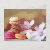 Macarons Postkarte (Vorderseite)