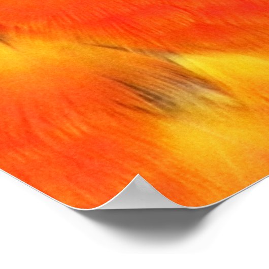 Macau Square Poster (Ecke)