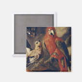 Macau und Bullfinch Magnet (Vorderseite/Rückseite)