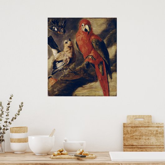 Macau und Bullfinch Poster (Küche)