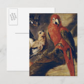 Macau und Bullfinch Postkarte (Vorne/Hinten)
