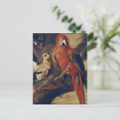 Macau und Bullfinch Postkarte (Stehend Vorderseite)