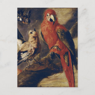 Macau und Bullfinch Postkarte