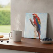 Macaw Beauty Fliese