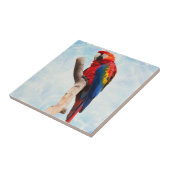 Macaw Beauty Fliese (Seite)