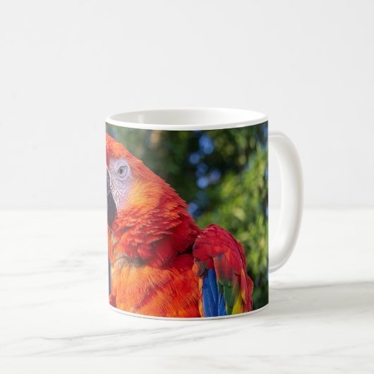 Macaw Bird Kaffeetasse (VorderseiteRechts)