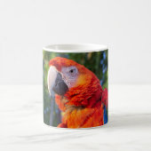 Macaw Bird Kaffeetasse (Mittel)