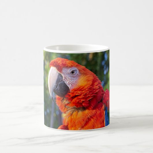 Macaw Bird Kaffeetasse (Mittel)
