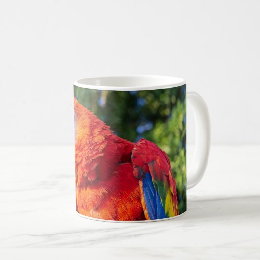 Macaw Bird Kaffeetasse (VorderseiteRechts)