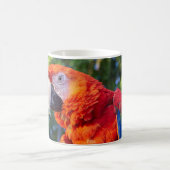Macaw Bird Kaffeetasse (Mittel)