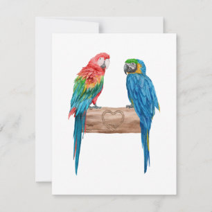 Macaw Bird Parrot Lover Watercolor