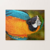 Macaw Bird Puzzle (Horizontal)