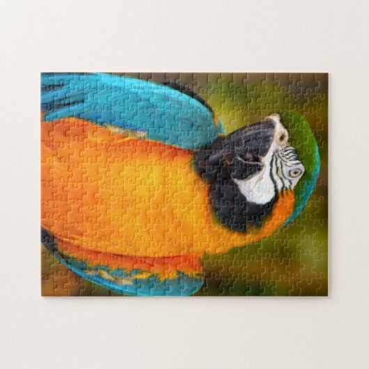 Macaw Bird Puzzle (Horizontal)